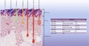 Lightstim Elipsa, non medical nano-meters