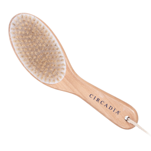 Circadia Brosse corporelle